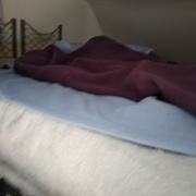 converture polaire toute douce au chaude au contact !