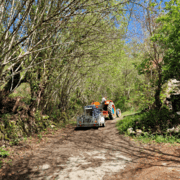 La raide montée des machines
