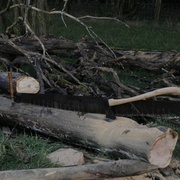 Avec sa copine la scie
