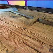 Un des trois papillons