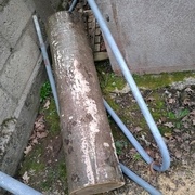 Le tronc qu'il reste pour le prochain !