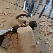 Palissandre (en cours)