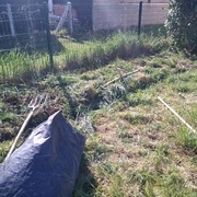 l'ancien potager en cours de destruction !!! quelle honte de faire pousser des légumes !