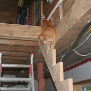 test de charge du limon