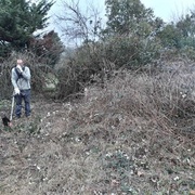 Ca taille et ça coupe (ça pique aussi)