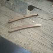 Le camphrier dessous, superbe et l'odeur !!!