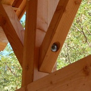 fig 5 assemblage de contrefiche embrèvement couvert et boulon  (+ de 60°)