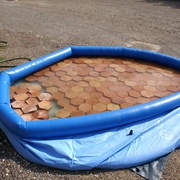 Petite trempette obligatoire