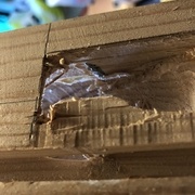 Et merde, je l'avais oubliée, celle-la!