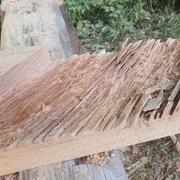 Préparation des enfourchements à la scie