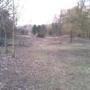 après la déchetterie, les feux et le premier débroussaillage..