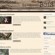 Blog : Travail du bois à travers le monde