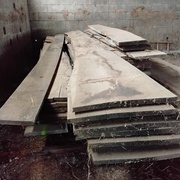 Plots chêne et frêne