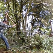 coupe du bois de chauffage