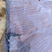 Pareil, couleur fausse, les photos du bois de fil sont plus fidèles