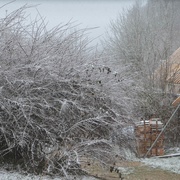 La neige retarde quelque peu les travaux