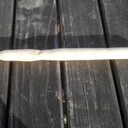 et voilà, pas parfait avec un noeud génant au milieu mais çà donne envie de faire des créations avec! (bon là il repleut!!)