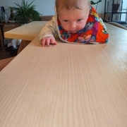 Mon petit collègue tout neuf