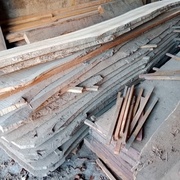 Plots de chêne