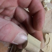 denture la plus fine