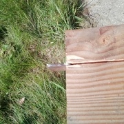 mettre une petite cale pour éviter que le bois ne se resserre sur la lame!