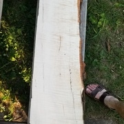 Une planche, déposée sur un des bancs de la table de pique-nique qui sert de support à la pièce à débiter.