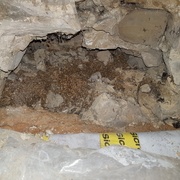 Pierres déchaussées et nid de souris