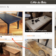 Dans la miniature de la publication