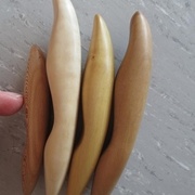 Platane, Charme ??, Buis, Olivier