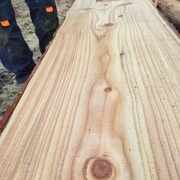 Qualité de coupe plus que correcte