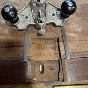 Préparation pour la greffe