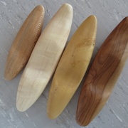 Platane, Charme ??, Buis, Olivier