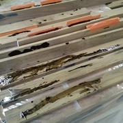 Les pièces des pieds