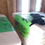 Test de la fibre Isonat par un expert de la CSTB.