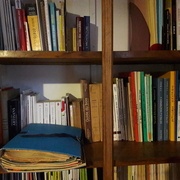 Des romans, les Compagnonnages, des livres de cours (dont les Heurtematte) et autres ressources PLUS UN DOSSIER BLEU.