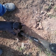 Tarière sous le contrôle de l'assistante !