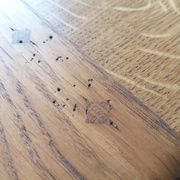 ses caracteristiques, avec effet trou de bestioles et chevilles carrées