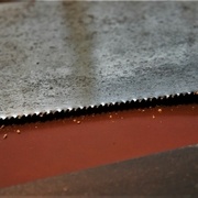 Denture de délignagne