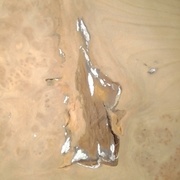 une zone d'écorce incluse qui s'est fortement rétractée par rapport au reste