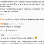 Dans l'activité des commentaires de la publication
