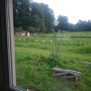 Le potager n'est pas loin !