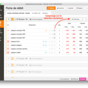Calepinage sur la sélection seulement