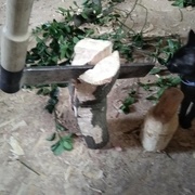 Departoir sous observation !