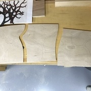 Les 3 parties de l'arbre reproduites sur le CP