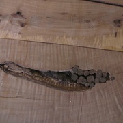 Le même côté contre parement ...