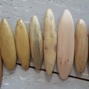 Robinier, Buis, Buis, Buis, Buis, Hêtre, Genévrier, Sumac