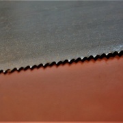 Denture de délignagne