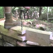 Construire son nid