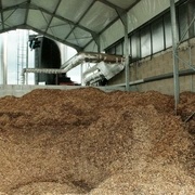 Voilà un gros feignant qui cherche sa dégau !