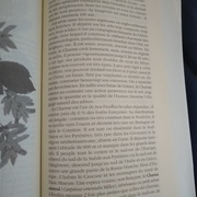 L'Air du Bois